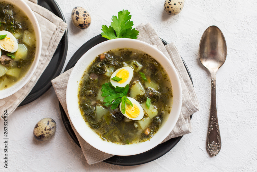 Canvas Prints Green Sorrel soup - a soup made from broth, sorrel leaves, spinach, eggs (hard boiled), potatoes, carrots, parsley root. Polish, Ukrainian, Belarusian, Russian, Jewish dish.