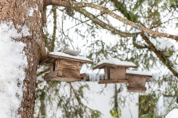 Homemade wooden bird's feeder on the tree in winter, under the snow.