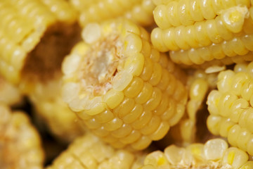 Boiled corn at buffet restaurant
