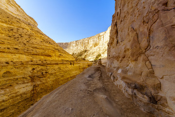 Canyon of Ein Avdat National Park, the Negev Desert