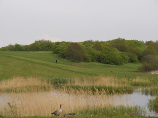 Peaceful landscape of suburb in Copenhagen, Denmark