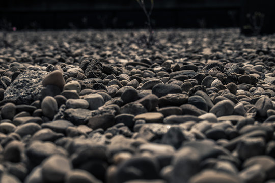 「Grava」の画像 2,916 件の Stock 写真、ベクターおよびビデオ Adobe Stock