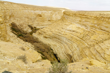 Upper view of the Canyon of Ein Avdat National Park