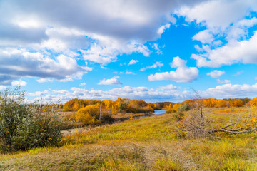 Blue sky with clouds, small river, orange leaves on trees