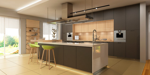 Modern kitchen interior