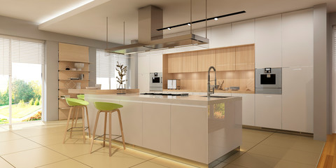 Fototapeta na wymiar Modern kitchen interior
