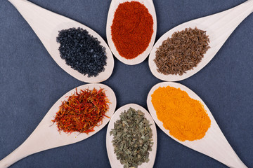Collection of spices in wooden spoons (Saffron, Basil, Turmeric, Caraway seeds, Sweet Paprika, Black Lava Sea Salt) on dark background.