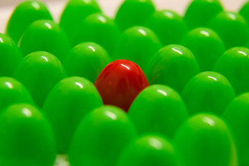PUNTINA E CHIODINO ROSSO IN MEZZO AD ALTRI VERDI