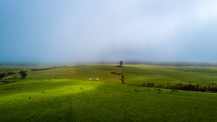 Naklejka na ściany i meble Mist and clouds over green farmland. Auckland, New Zealand