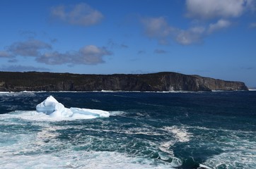 iceberg near the shoreline of the killick Coast, Newfoundland Canada