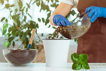 A young woman transplants plants in another pot at home. Home gardening tools.