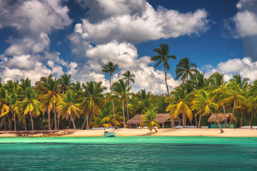 Palm tree beach and tropical island. Dominican Republic