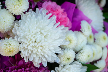 Close up Chrysanthemum flower in the wedding background.
