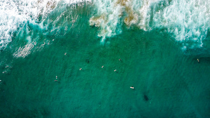 Surfers waiting for a good wave on sunny day. Muriwai Beach, Auckland, New Zealand