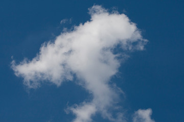 Fototapeta premium blue sky with white clouds