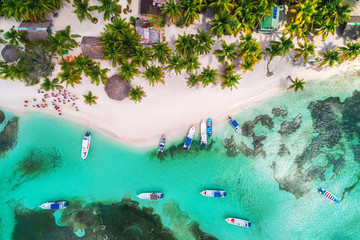 Aerial view of tropical beach.