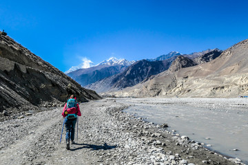 Girl treks in Himalayas, carries big backpack, supports herself with sticks, Annapurna Circuit...