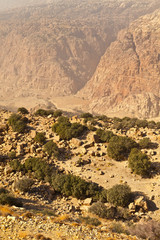 Reserva de la Biosfera de Dana. Jordania, Oriente Medio - obrazy, fototapety, plakaty