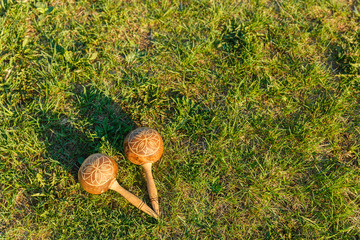 maracas lie on the green grass. Traditional musical instrument made of natural materials
