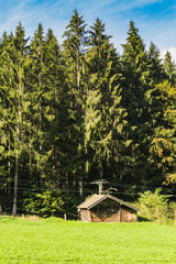 wooden hut near a forest