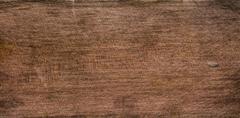 old wood detail texture, tree texture background