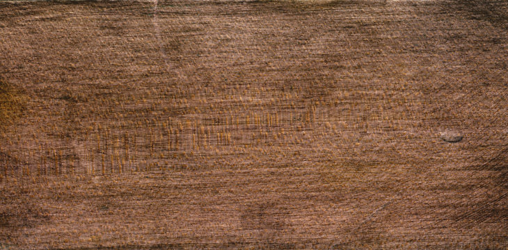 old wood detail texture, tree texture background