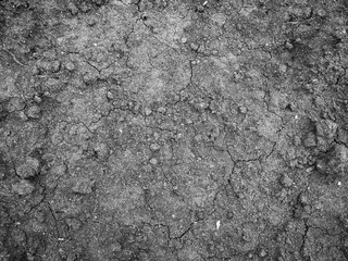 Abstract black white earth background. texture