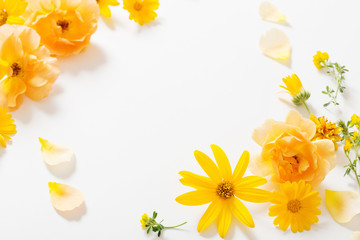 Naklejka na ściany i meble yellow flowers on white background