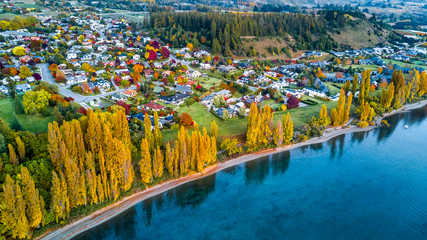 Yellow autumn trees on the sore of pristine lake with small town on the background. Wanaka, Otago, South Island, New Zealand