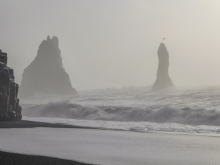 Naklejka na ściany i meble Reynisfjara is a world-famous black-sand beach found on the South Coast of Iceland. Two sharp rocks emerging in the middle of the rough sea. Strong waves pushing huge amounts of foamed water in.
