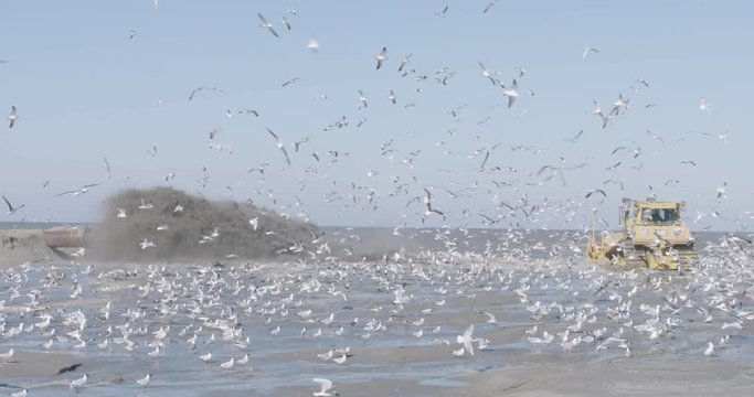 bulldozer on beach with gulls an fountain of mud