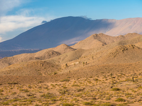 View of Los Cardones National Park