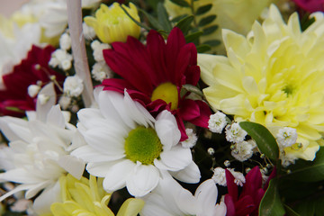 A bright bouquet of gerberas and chrysanthemums entwined with green sprigs of pistachio tree.