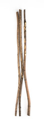 magic staff, old wooden walking stick