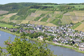 frühlingshaftes Rheintal bei Leutesdorf