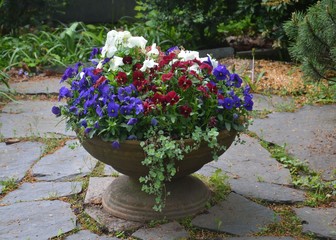 Alter Pflanzkübel auf Steinplatten mit Stiefmütterchen bunt blühend