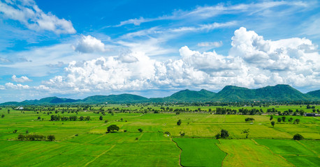 Fototapeta na wymiar green rice field mountain landscape Thailand