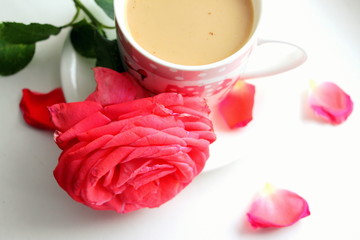  Beautiful and cute female cup of coffee and milk. Cappuccino and rose. Morning with coffee and flowers. Romance.