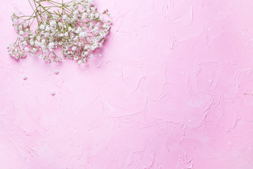 Fresh white gypsofila  flowers  on  pink textured background.
