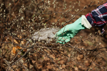 Fototapeta na wymiar woman picking up dump on dirty forest