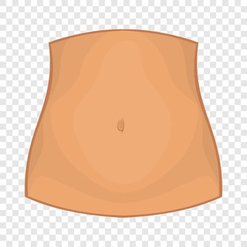 Female belly icon. Cartoon illustration of female belly vector icon for web design
