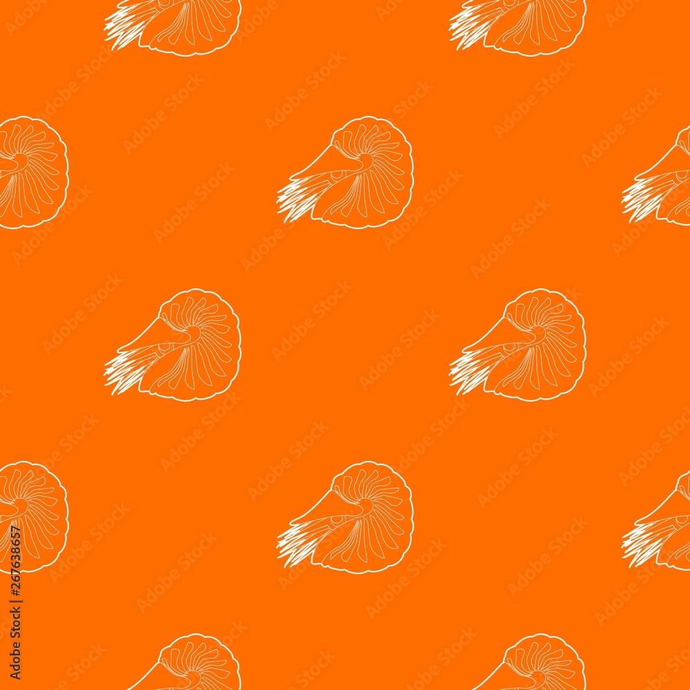 Poster clam pattern vector orange for any web design best