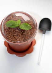  Unusual dessert in a plastic pot and with a shovel. A leaf of fresh mint. Grated chocolate on top.