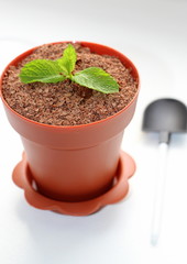  Unusual dessert in a plastic pot and with a shovel. A leaf of fresh mint. Grated chocolate on top.