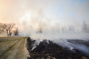 Black and burnet grass after forest fire near road in countryside. Big amount of smoke in air after wild fire