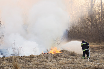 Firefighter battle a wildfire in field near forest