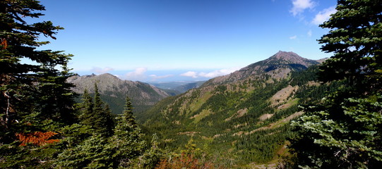 Hurricane Ridge in Olympic National Park in Washington 