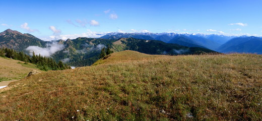 Hurricane Ridge in Olympic National Park in Washington 