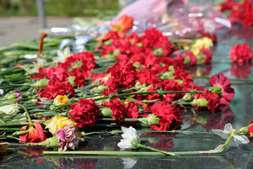 Carnations near the monument to the unknown soldier at the eternal flame