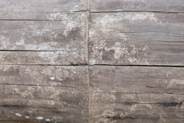 close up wooden texture